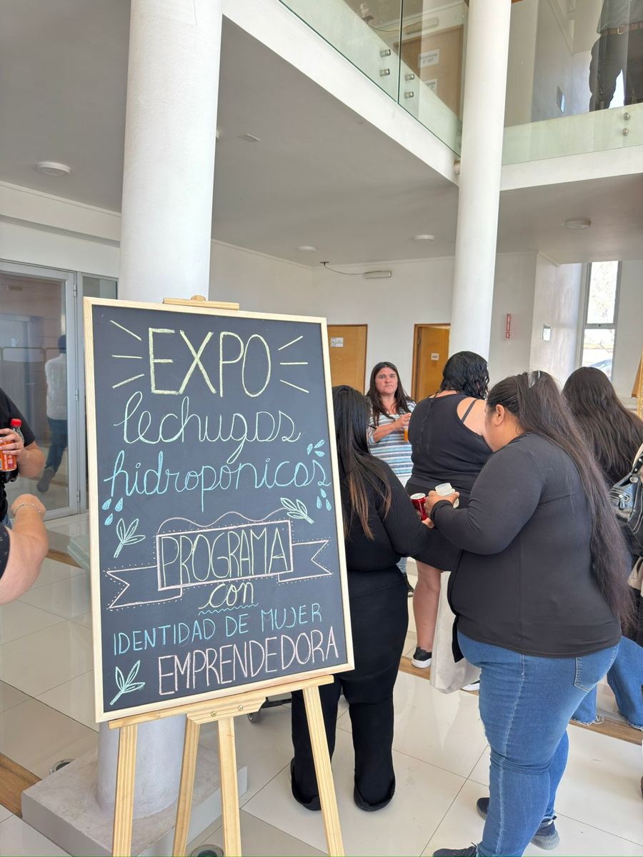 Expo de lechugas hidropónicas del programa